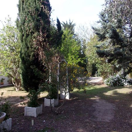 Mas Des Pins Bed & Breakfast Saint-Cyprien  Luaran gambar