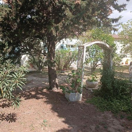 Mas Des Pins Bed & Breakfast Saint-Cyprien  Luaran gambar