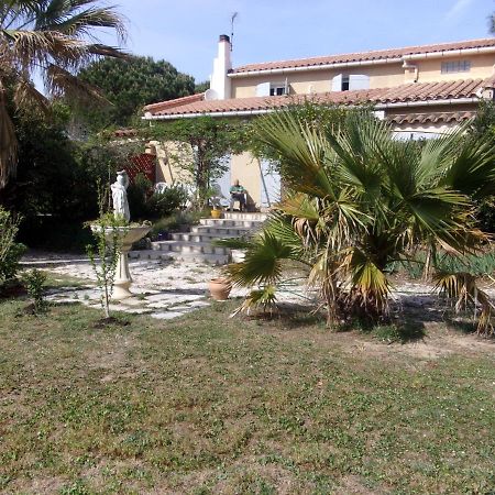 Mas Des Pins Bed & Breakfast Saint-Cyprien  Luaran gambar