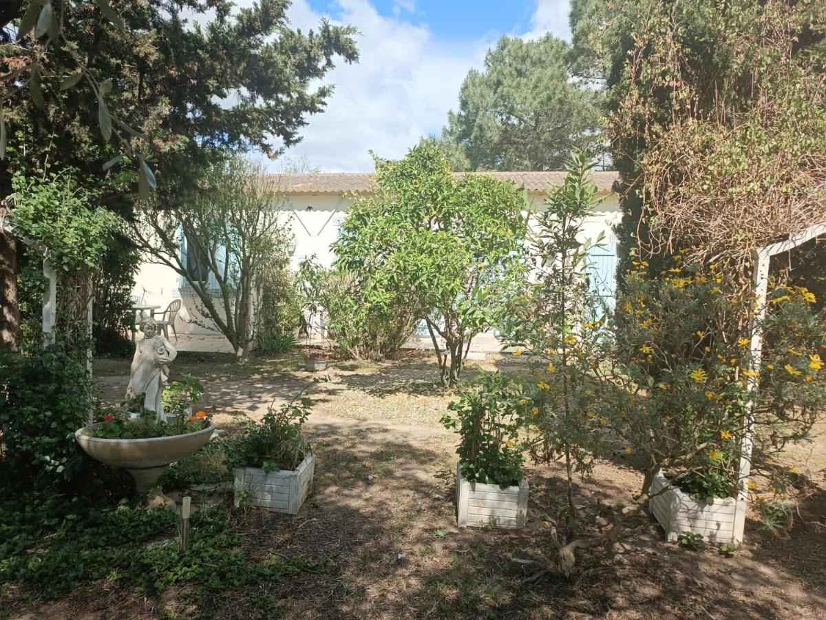 Mas Des Pins Bed & Breakfast Saint-Cyprien  Luaran gambar